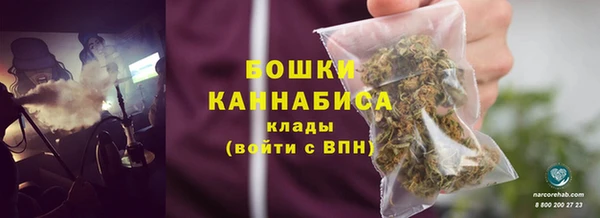 мет Бородино