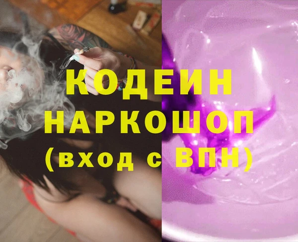крисы Бронницы