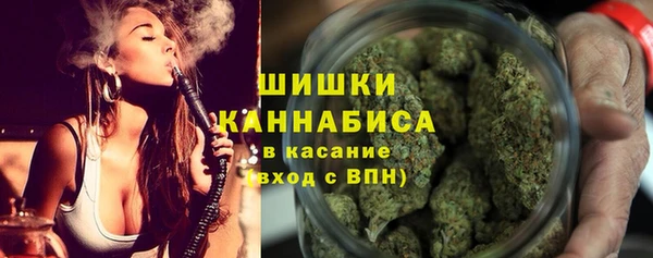 крисы Бронницы