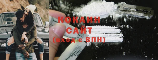 крисы Бронницы