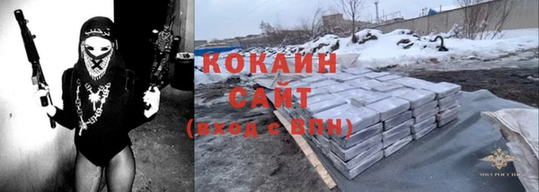крисы Бронницы